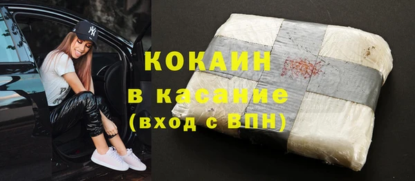 шишки Абаза