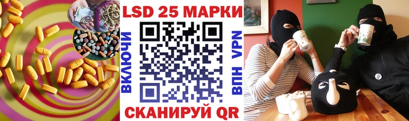 закладка  Суджа  Лсд 25 экстази ecstasy 