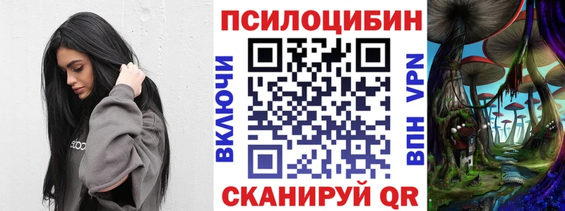 гидра ссылка  продажа наркотиков  Суджа  Псилоцибиновые грибы Magic Shrooms 