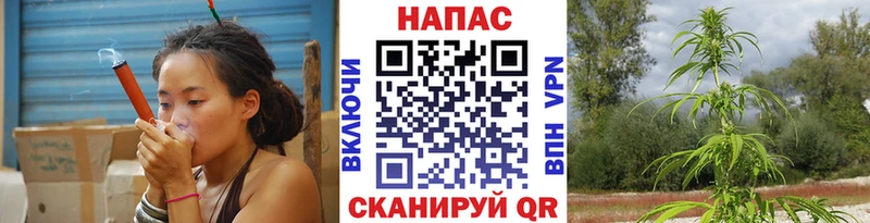 Шишки марихуана AK-47  Суджа 